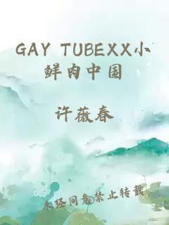 GAY TUBEXX小鲜肉中国
